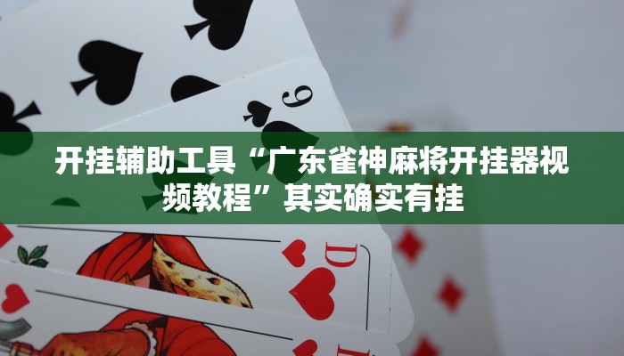 开挂辅助工具“广东雀神麻将开挂器视频教程”其实确实有挂 开挂辅助工具“广东雀神麻将开挂器视频教程”其实确实有挂