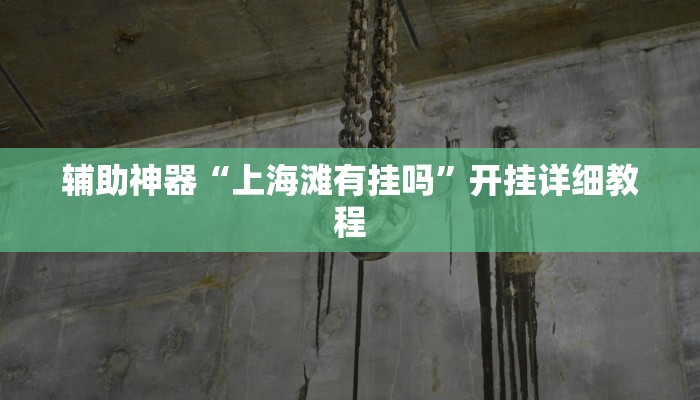 辅助神器“上海滩有挂吗”开挂详细教程