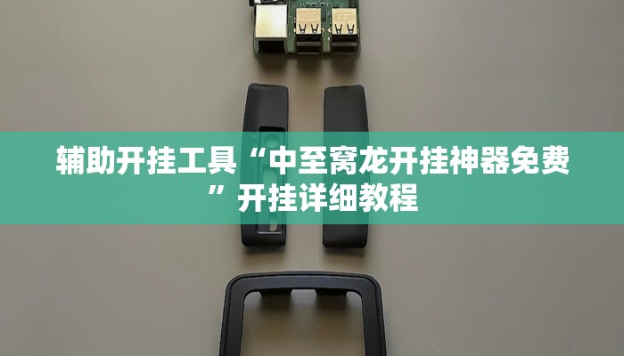 辅助开挂工具“中至窝龙开挂神器免费”开挂详细教程