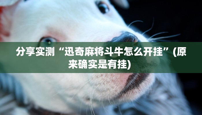 分享实测“迅奇麻将斗牛怎么开挂”(原来确实是有挂) 