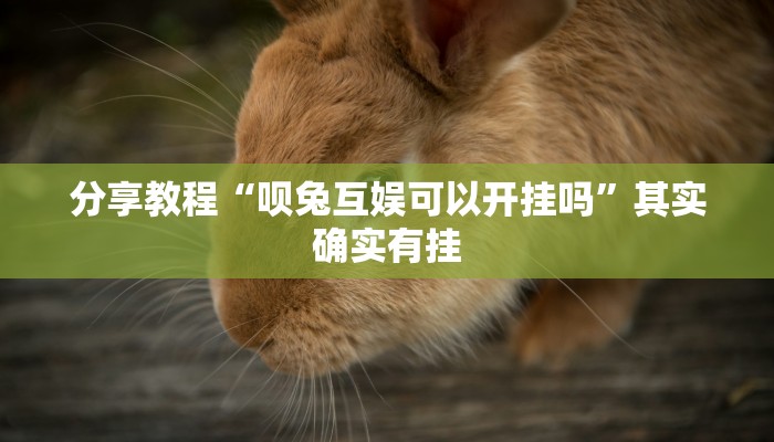 分享教程“呗兔互娱可以开挂吗”其实确实有挂