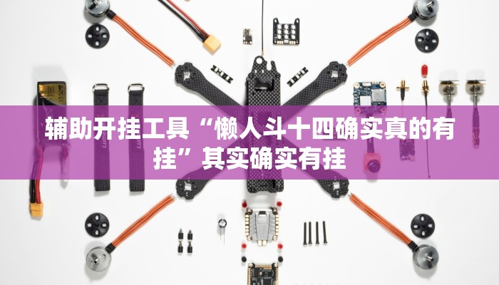 辅助开挂工具“懒人斗十四确实真的有挂”其实确实有挂