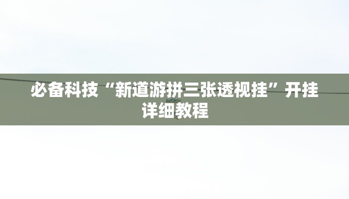 必备科技“新道游拼三张透视挂”开挂详细教程