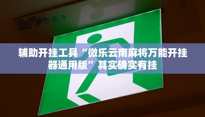 辅助开挂工具“微乐云南麻将万能开挂器通用版”其实确实有挂