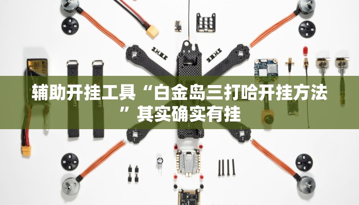 辅助开挂工具“白金岛三打哈开挂方法”其实确实有挂 辅助开挂工具“白金岛三打哈开挂方法”其实确实有挂