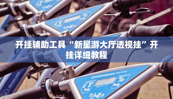 开挂辅助工具“新星游大厅透视挂”开挂详细教程