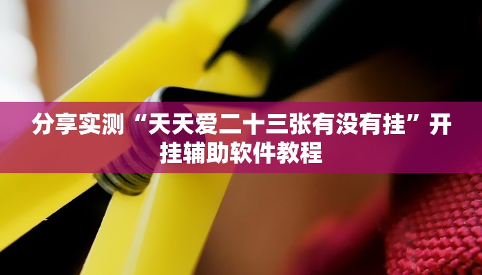 分享实测“天天爱二十三张有没有挂”开挂辅助软件教程 分享实测“天天爱二十三张有没有挂”开挂辅助软件教程