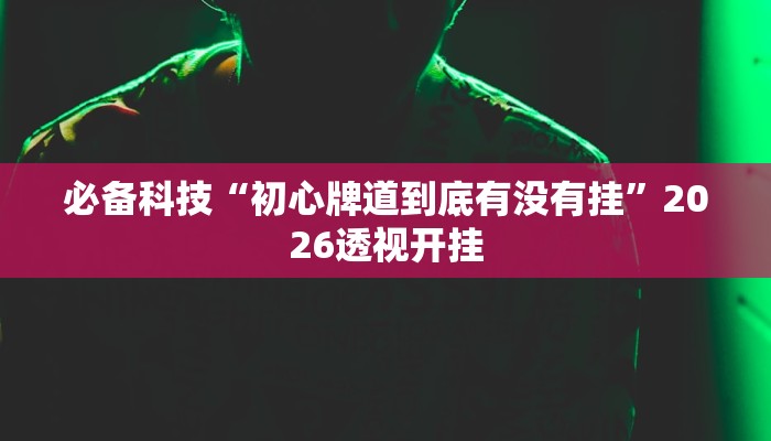 必备科技“初心牌道到底有没有挂”2026透视开挂