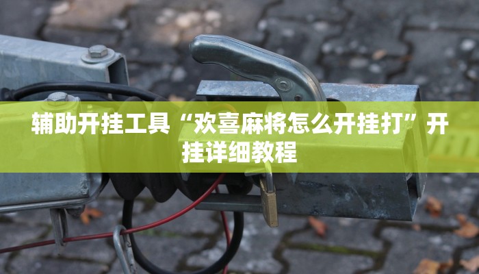 辅助开挂工具“欢喜麻将怎么开挂打”开挂详细教程