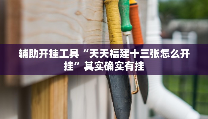 辅助开挂工具“天天福建十三张怎么开挂”其实确实有挂