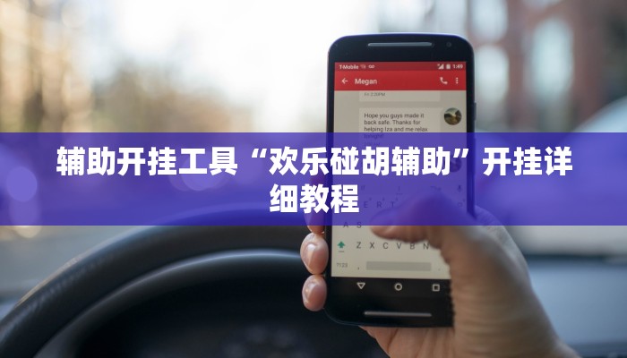 辅助开挂工具“欢乐碰胡辅助”开挂详细教程