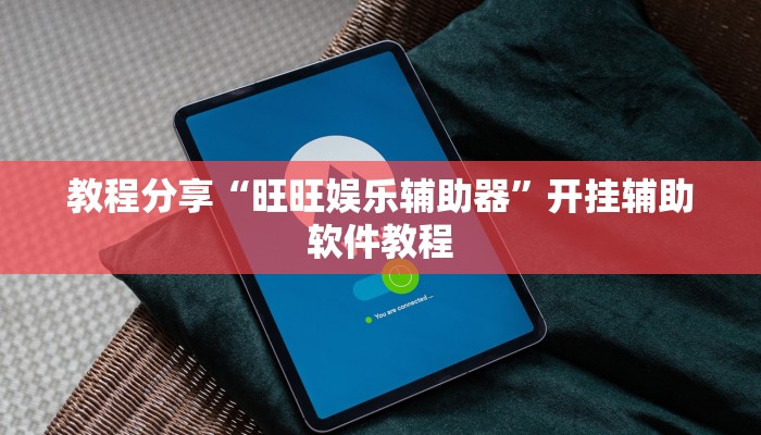 教程分享“旺旺娱乐辅助器”开挂辅助软件教程