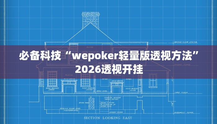 必备科技“wepoker轻量版透视方法”2026透视开挂