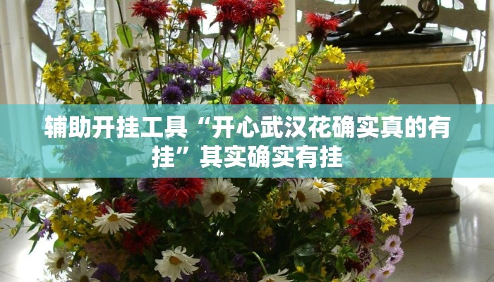 辅助开挂工具“开心武汉花确实真的有挂”其实确实有挂