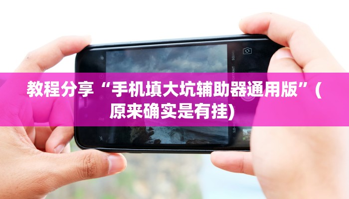 教程分享“手机填大坑辅助器通用版”(原来确实是有挂) 