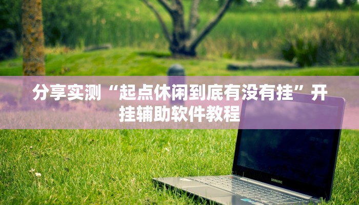 分享实测“起点休闲到底有没有挂”开挂辅助软件教程