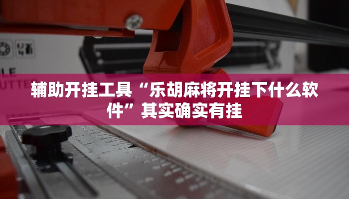 辅助开挂工具“乐胡麻将开挂下什么软件”其实确实有挂