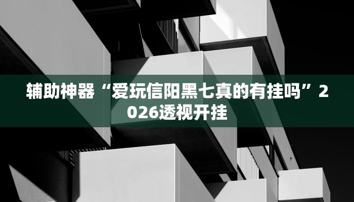 辅助神器“爱玩信阳黑七真的有挂吗”2026透视开挂