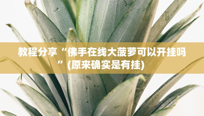 教程分享“佛手在线大菠萝可以开挂吗”(原来确实是有挂) 