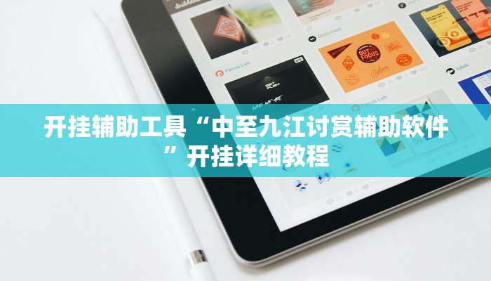 开挂辅助工具“中至九江讨赏辅助软件”开挂详细教程