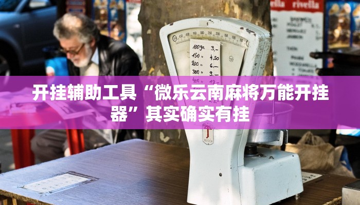 开挂辅助工具“微乐云南麻将万能开挂器”其实确实有挂