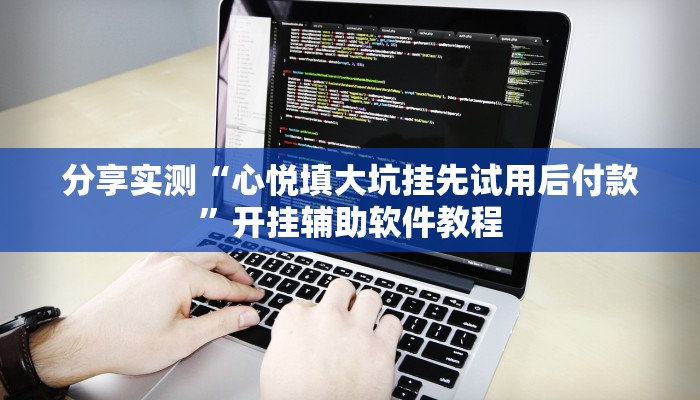 分享实测“心悦填大坑挂先试用后付款”开挂辅助软件教程