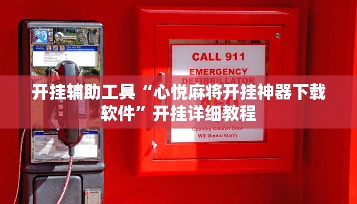 开挂辅助工具“心悦麻将开挂神器下载软件”开挂详细教程