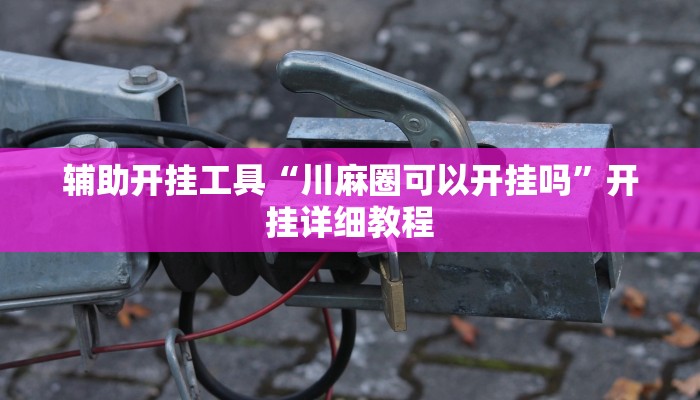 辅助开挂工具“川麻圈可以开挂吗”开挂详细教程