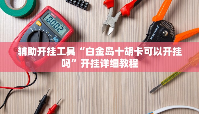 辅助开挂工具“白金岛十胡卡可以开挂吗”开挂详细教程