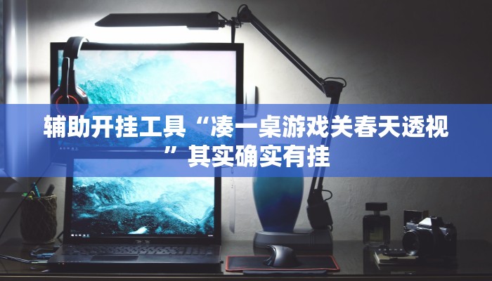 辅助开挂工具“凑一桌游戏关春天透视”其实确实有挂