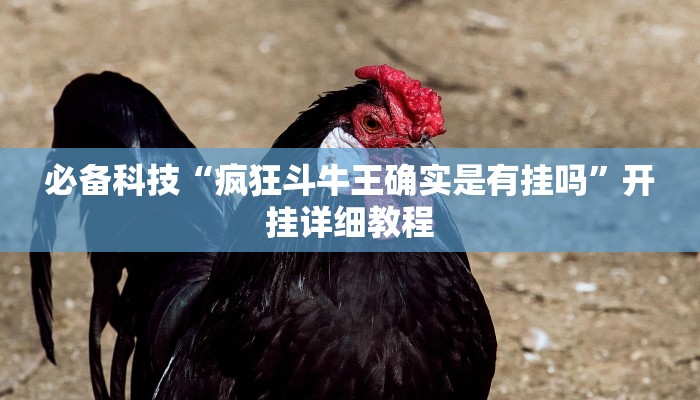 必备科技“疯狂斗牛王确实是有挂吗”开挂详细教程