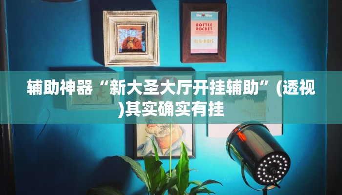 辅助神器“新大圣大厅开挂辅助”(透视)其实确实有挂