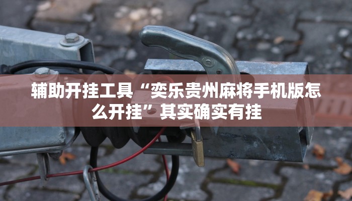 辅助开挂工具“奕乐贵州麻将手机版怎么开挂”其实确实有挂