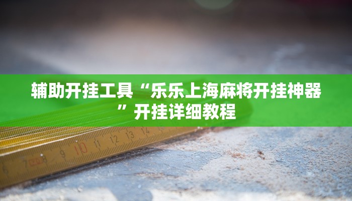 辅助开挂工具“乐乐上海麻将开挂神器”开挂详细教程