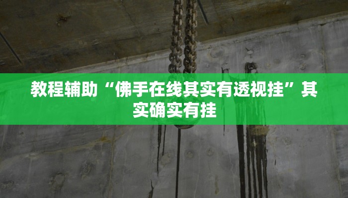 教程辅助“佛手在线其实有透视挂”其实确实有挂
