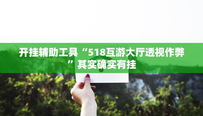 开挂辅助工具“518互游大厅透视作弊”其实确实有挂