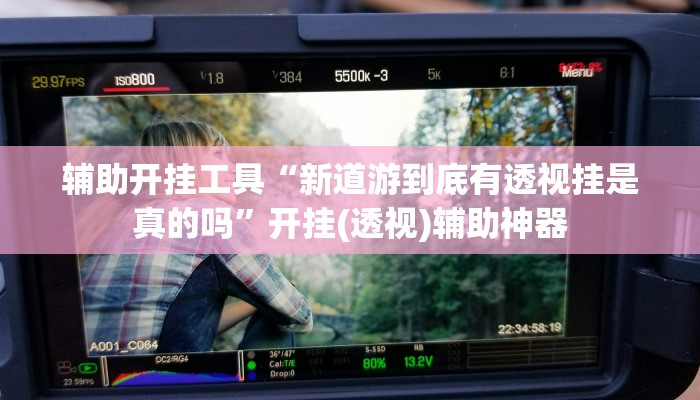 辅助开挂工具“新道游到底有透视挂是真的吗”开挂(透视)辅助神器