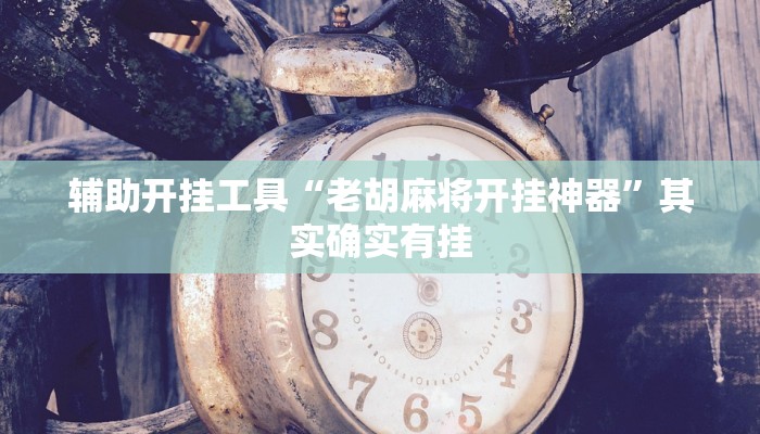 辅助开挂工具“老胡麻将开挂神器”其实确实有挂