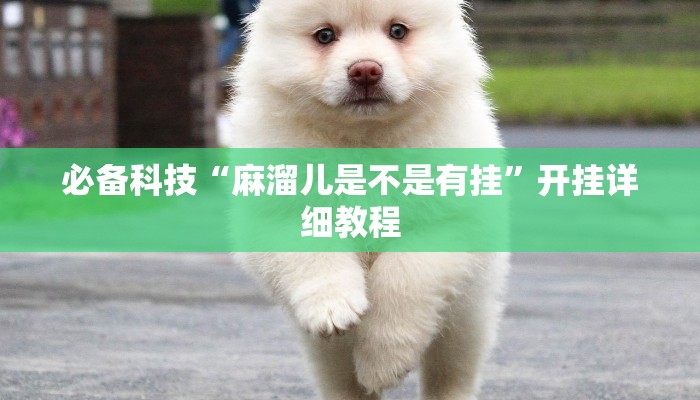 必备科技“麻溜儿是不是有挂”开挂详细教程