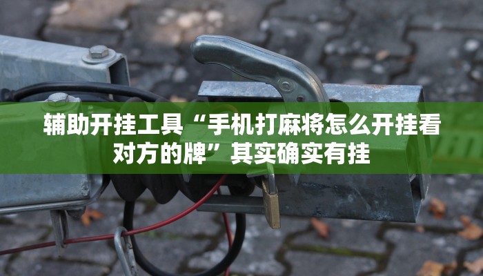 辅助开挂工具“手机打麻将怎么开挂看对方的牌”其实确实有挂