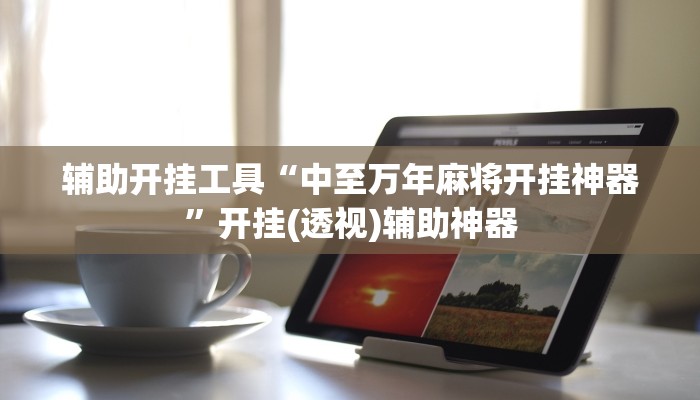 辅助开挂工具“中至万年麻将开挂神器”开挂(透视)辅助神器