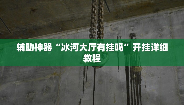 辅助神器“冰河大厅有挂吗”开挂详细教程