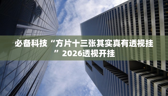必备科技“方片十三张其实真有透视挂”2026透视开挂