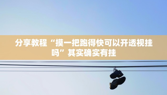 分享教程“摸一把跑得快可以开透视挂吗”其实确实有挂