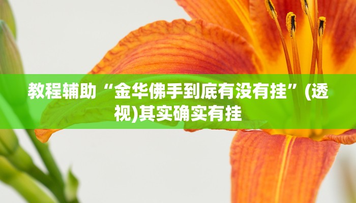 教程辅助“金华佛手到底有没有挂”(透视)其实确实有挂