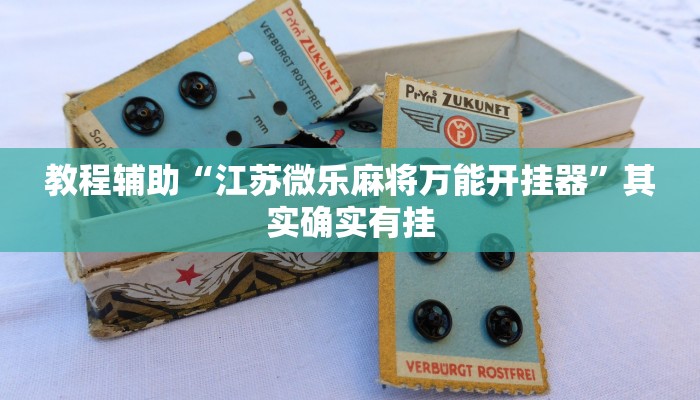 教程辅助“江苏微乐麻将万能开挂器”其实确实有挂