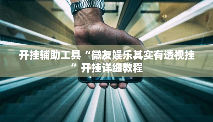 开挂辅助工具“微友娱乐其实有透视挂”开挂详细教程