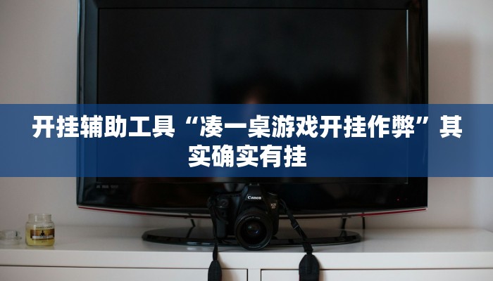 开挂辅助工具“凑一桌游戏开挂作弊”其实确实有挂