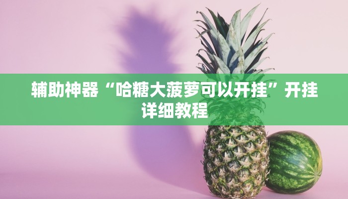 辅助神器“哈糖大菠萝可以开挂”开挂详细教程