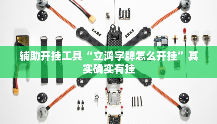 辅助开挂工具“立鸿字牌怎么开挂”其实确实有挂